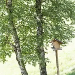 Sara Holiday home Bad Kleinkirchheim