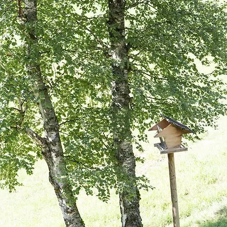 Ferienhaus Sara - Kaernten Card Im Sommer Inklusive Holiday home Bad Kleinkirchheim