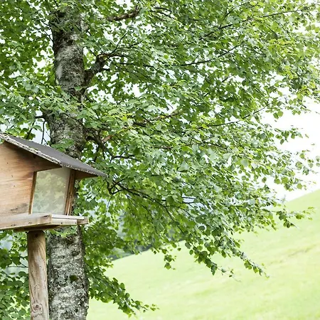 Holiday home Ferienhaus Sara - Kaernten Card Im Sommer Inklusive *