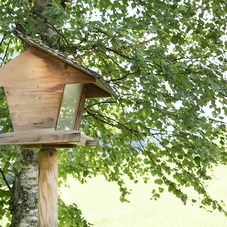 Ferienhaus Sara - Kaernten Card Im Sommer Inklusive *